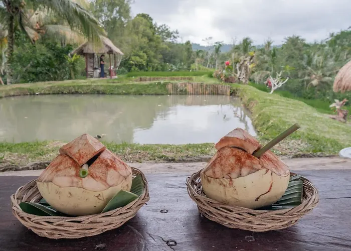 Galalima Glamping 4*
