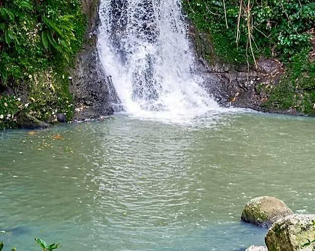 Galalima Glamping Campo de lujo