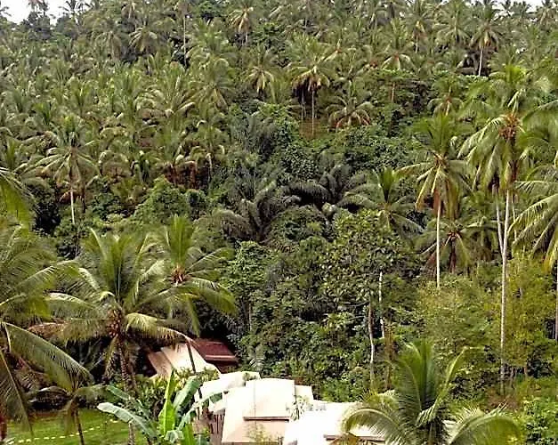 Galalima Glamping