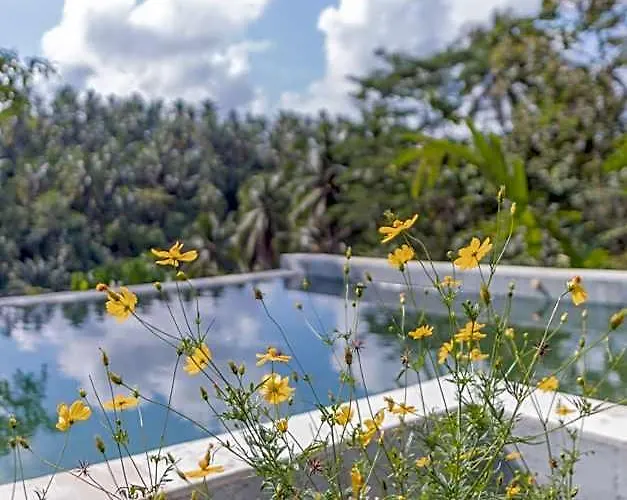 Campo de lujo Galalima Glamping